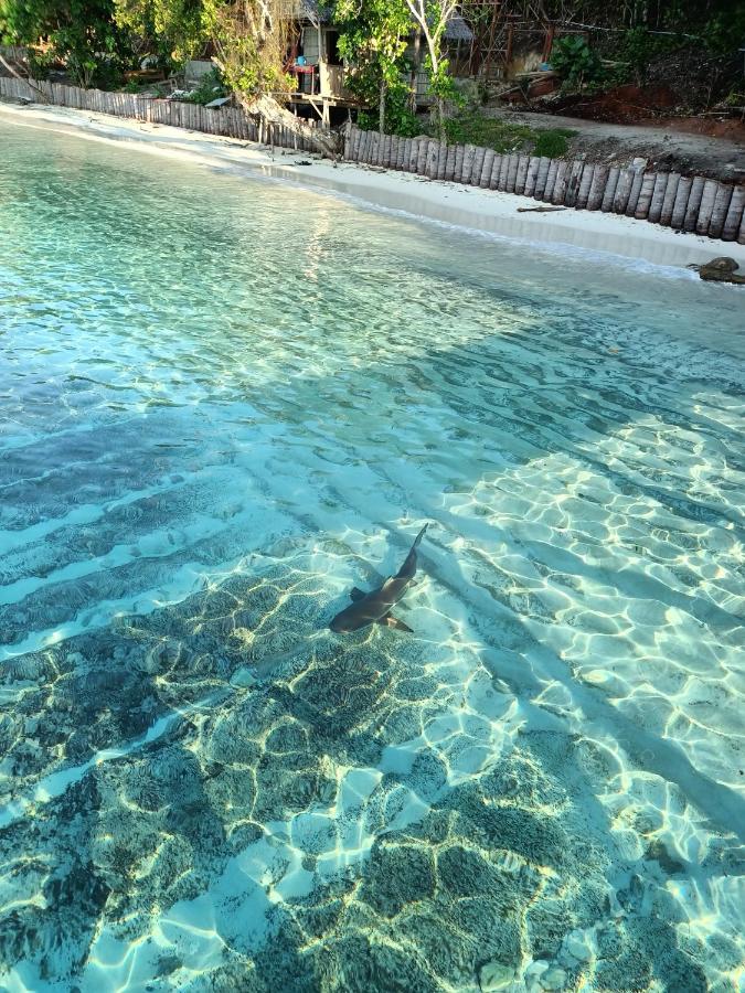 Warahnus Dive Homestay Kri 外观 照片