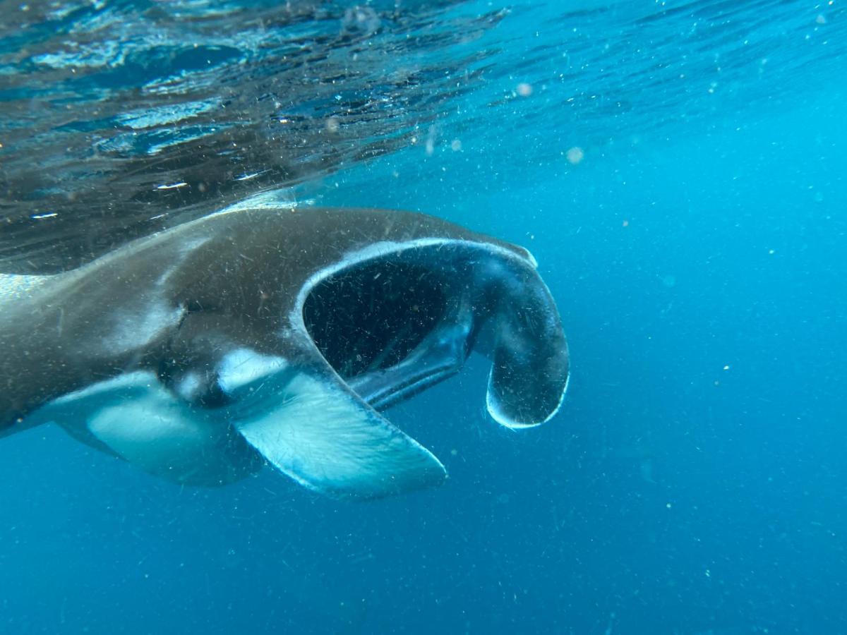 Warahnus Dive Homestay Kri 外观 照片